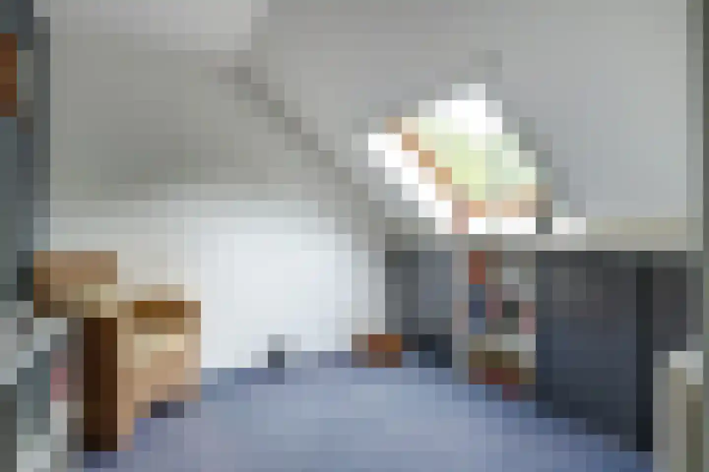 Laan van Rome 29 Alkmaar thumbnail 18