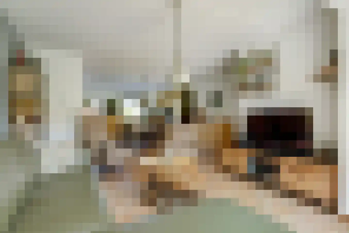 Laan van Rome 29 Alkmaar thumbnail 5