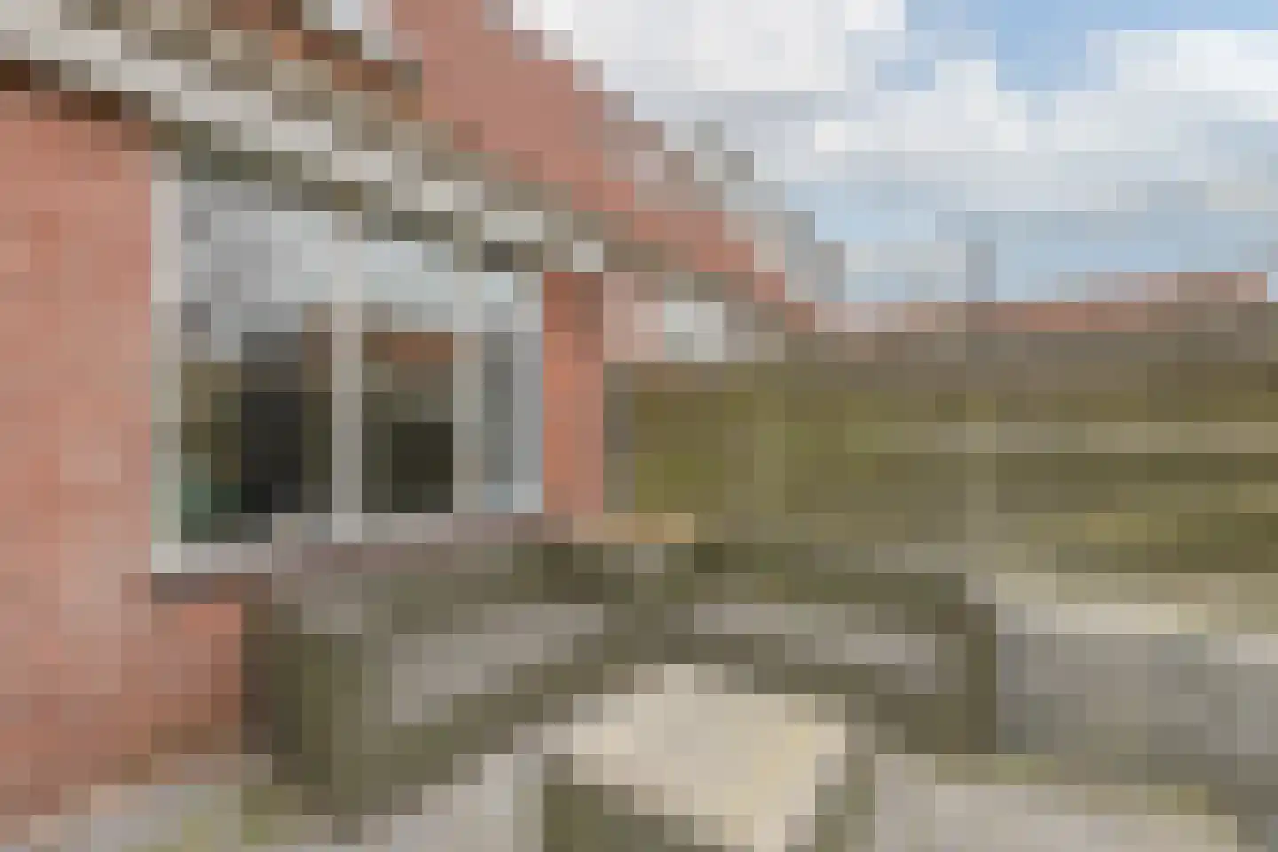 Laan van Rome 5 Alkmaar thumbnail 32