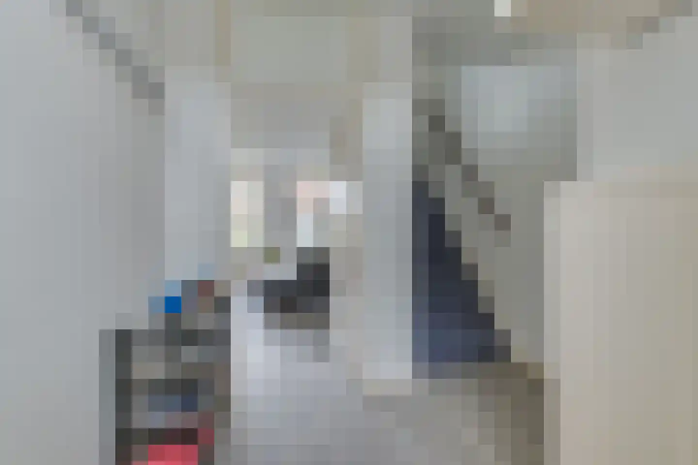 Laan van Rome 5 Alkmaar thumbnail 7