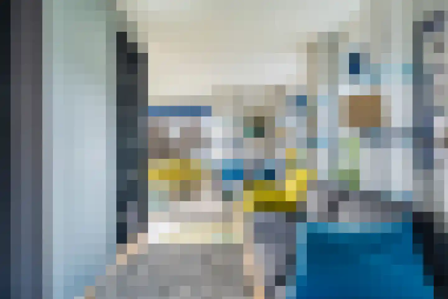 Laan van Romen 13 Berkel en Rodenrijs thumbnail 16