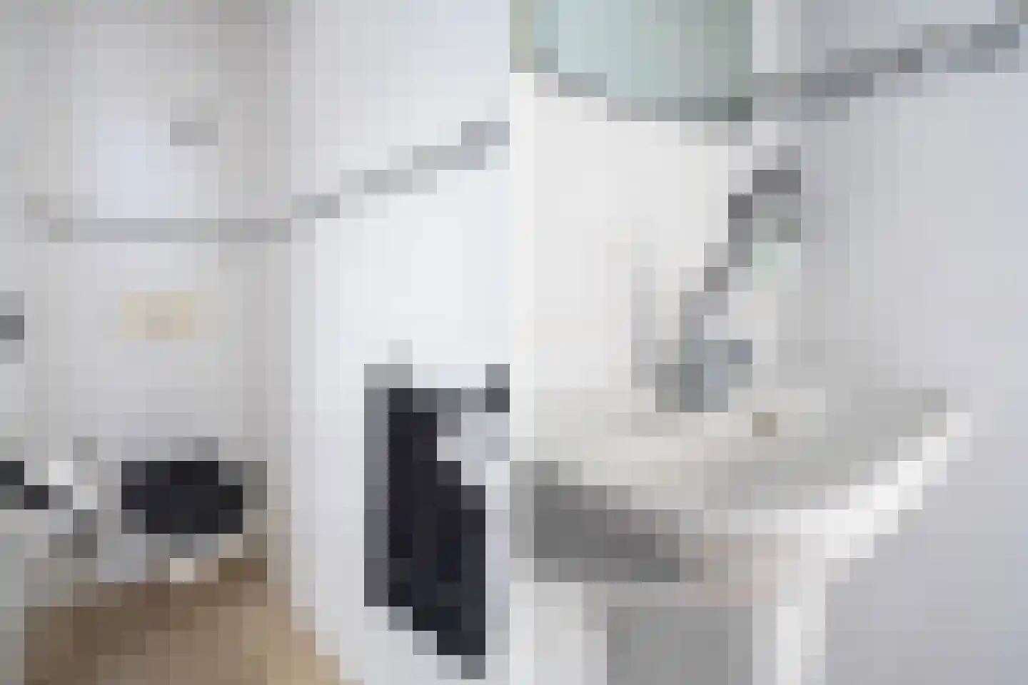 Laan van Romen 13 Berkel en Rodenrijs thumbnail 22