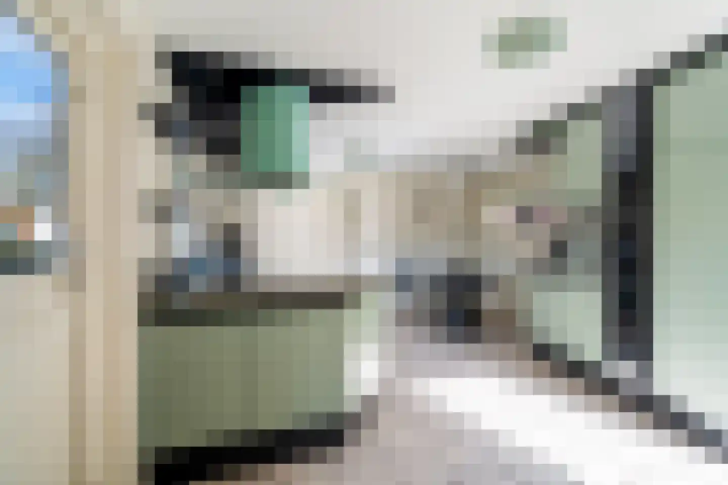 Laan van Romen 13 Berkel en Rodenrijs thumbnail 23