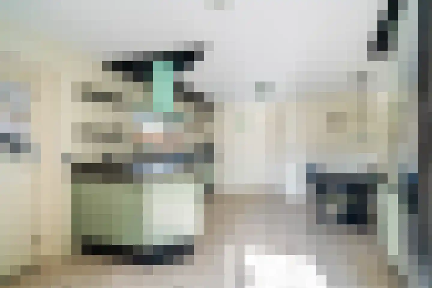 Laan van Romen 13 Berkel en Rodenrijs thumbnail 24