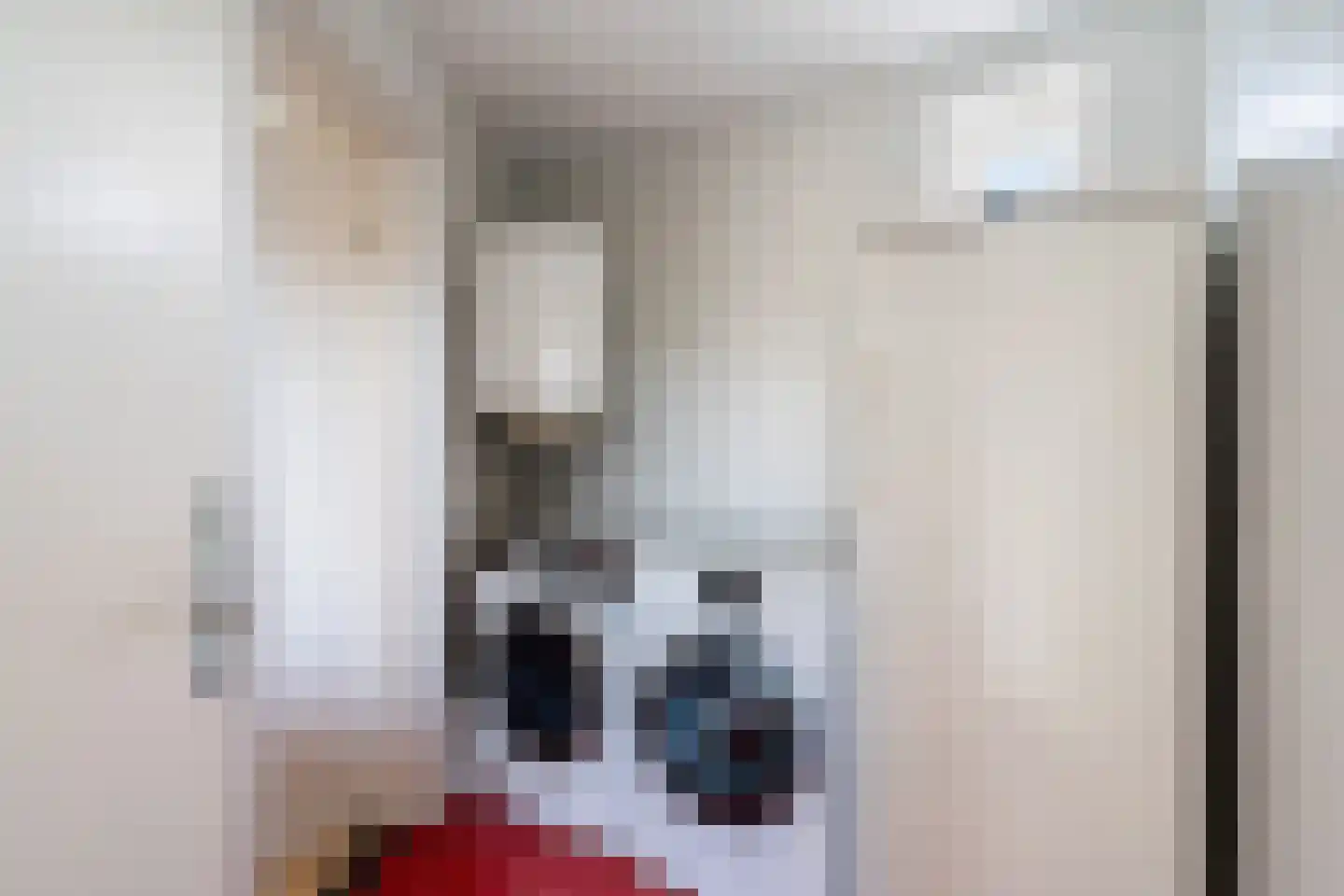 Laan van Romen 13 Berkel en Rodenrijs thumbnail 28