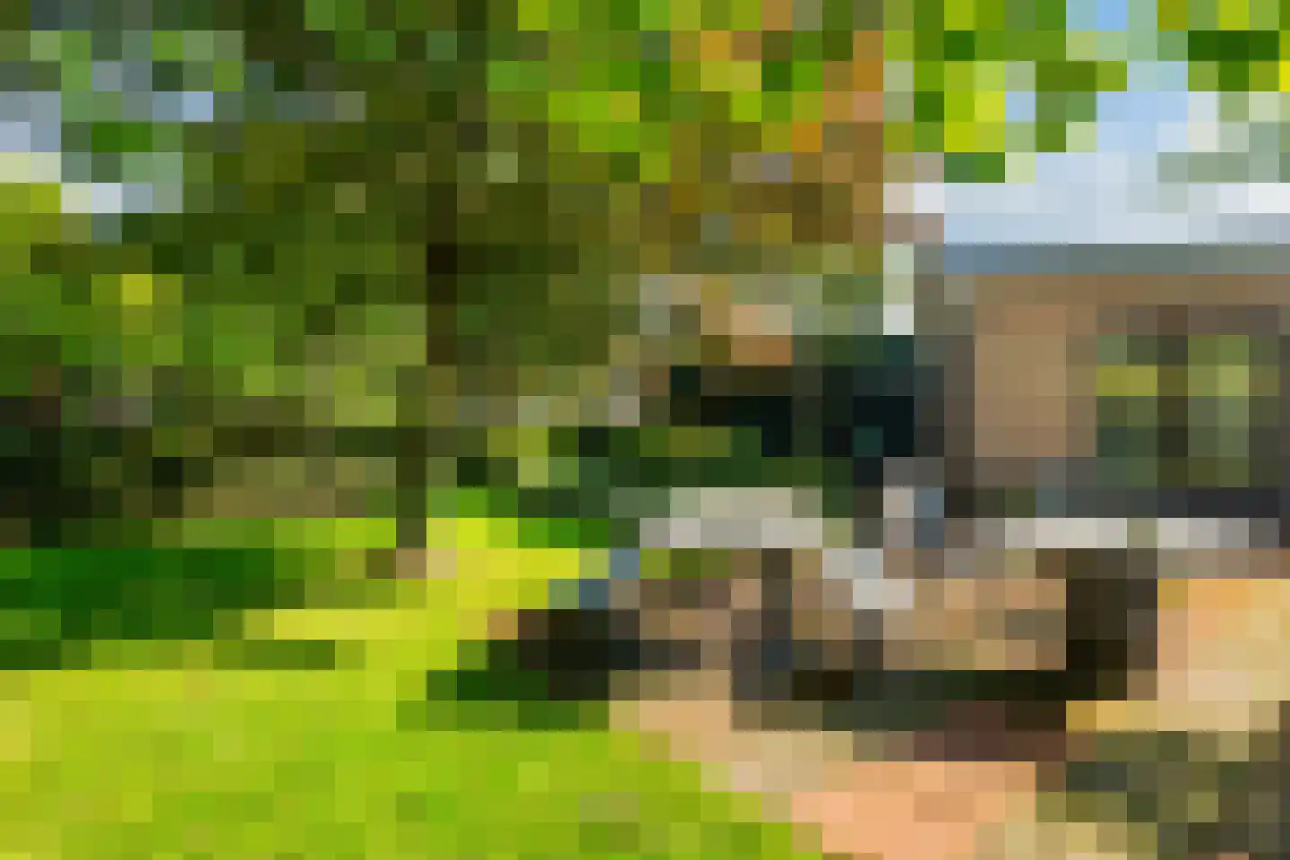 Laan van Romen 13 Berkel en Rodenrijs thumbnail 29
