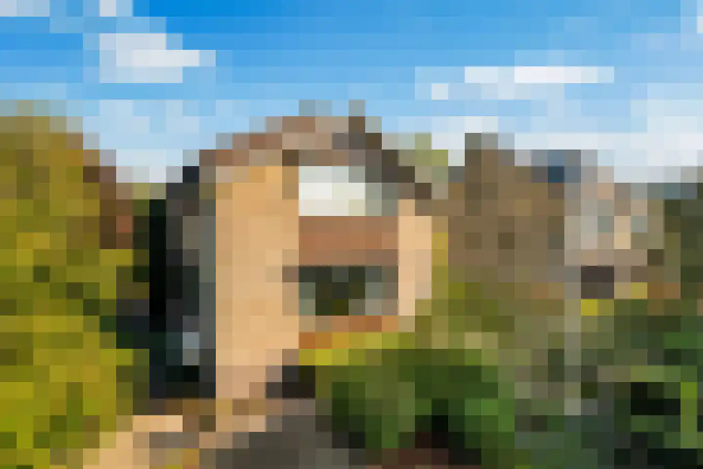 Laan van Romen 13 Berkel en Rodenrijs thumbnail 36