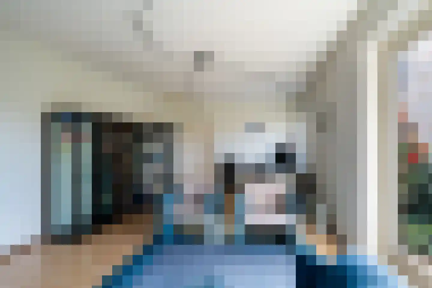 Laan van Romen 13 Berkel en Rodenrijs thumbnail 39