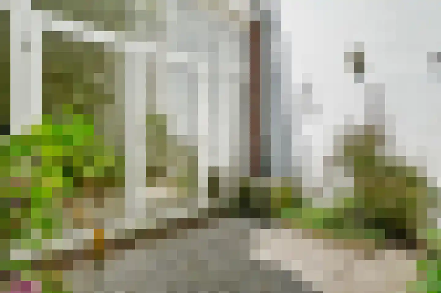Laan van Roos en Doorn 11 A Den Haag thumbnail 18