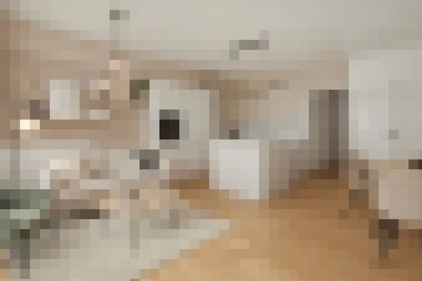 Laan van Roos en Doorn 11 A Den Haag thumbnail 4