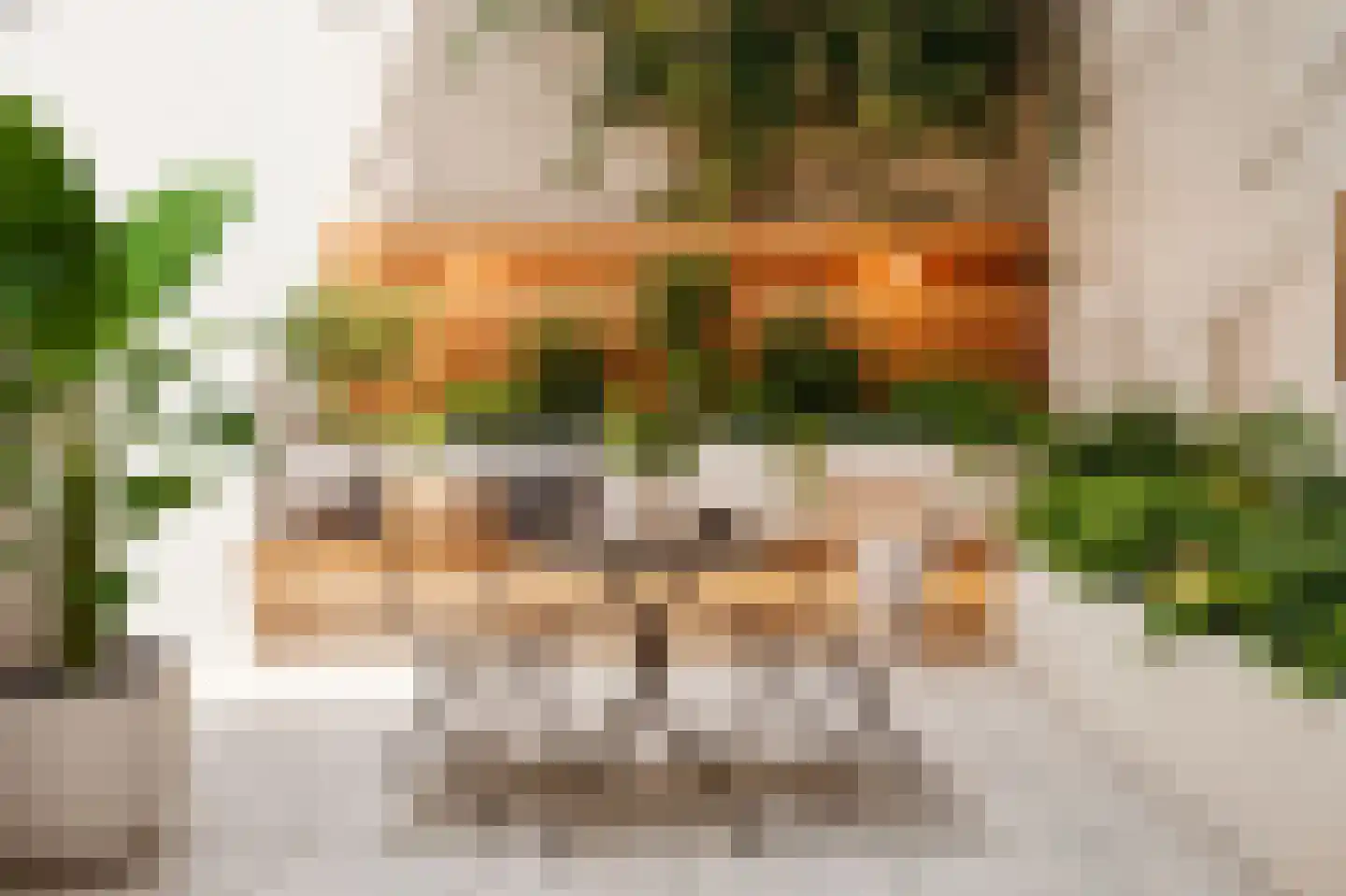 Laan van Roos en Doorn 11 B Den Haag thumbnail 11