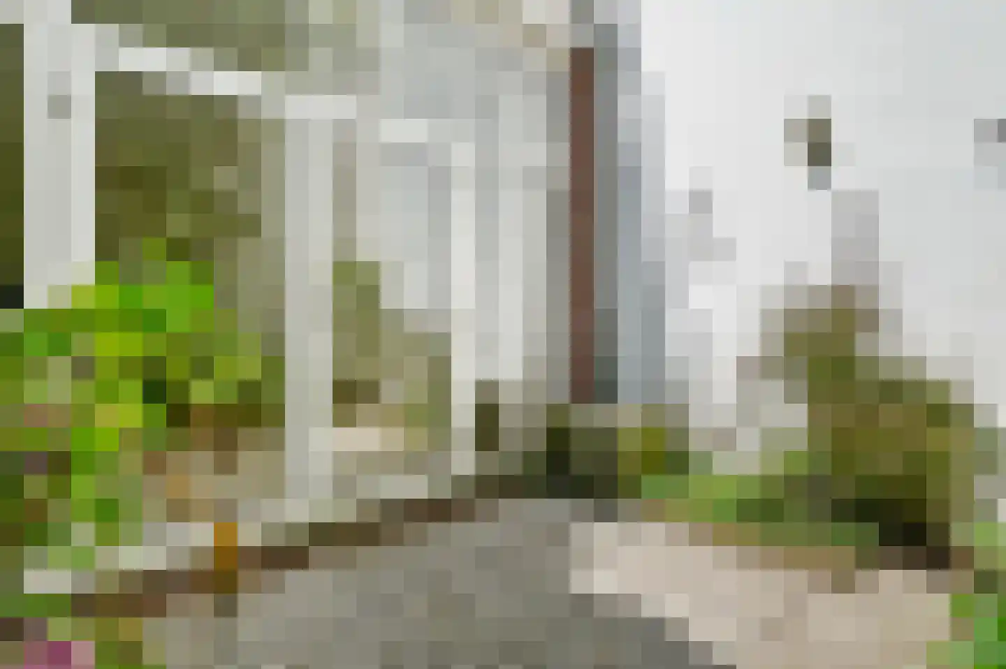 Laan van Roos en Doorn 11 B Den Haag thumbnail 18