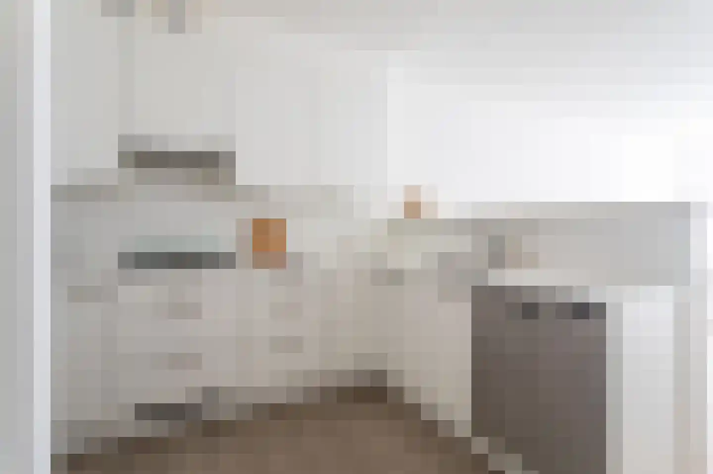 Laan van Roos en Doorn 11 B Den Haag thumbnail 7