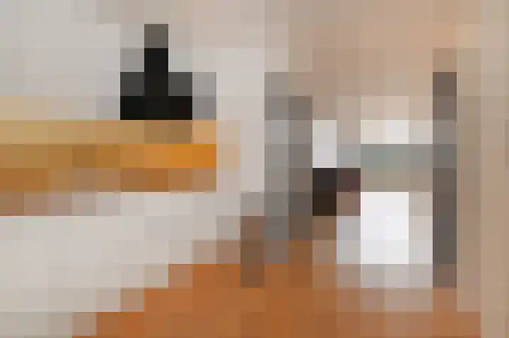Laan van Roos en Doorn 15 1 Den Haag thumbnail 10