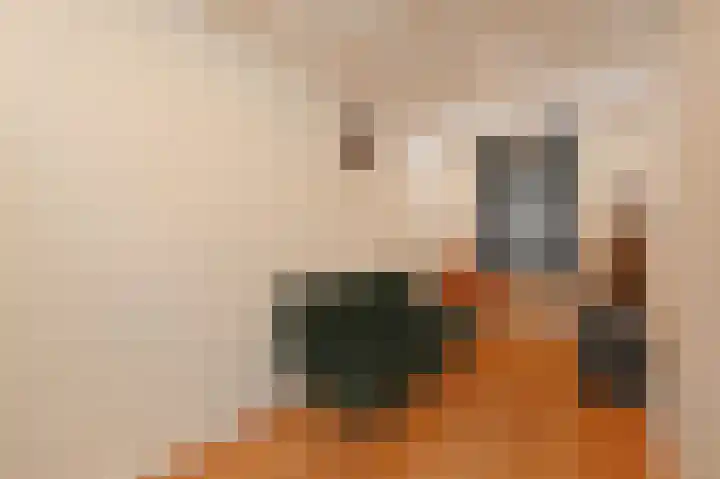 Laan van Roos en Doorn 15 1 Den Haag thumbnail 11