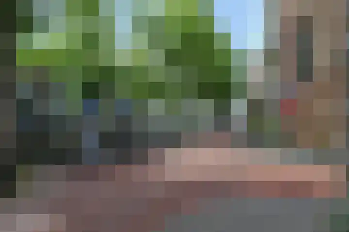 Laan van Roos en Doorn 15 1 Den Haag thumbnail 18