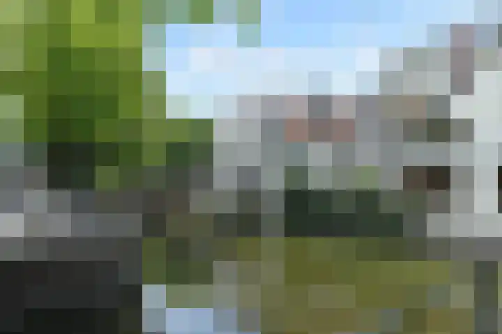 Laan van Roos en Doorn 15 1 Den Haag thumbnail 19