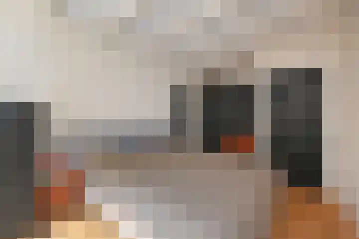 Laan van Roos en Doorn 15 1 Den Haag thumbnail 4