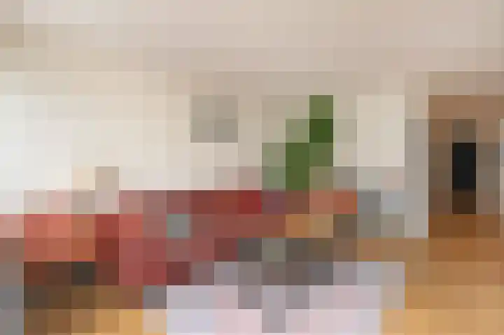Laan van Roos en Doorn 15 1 Den Haag thumbnail 8