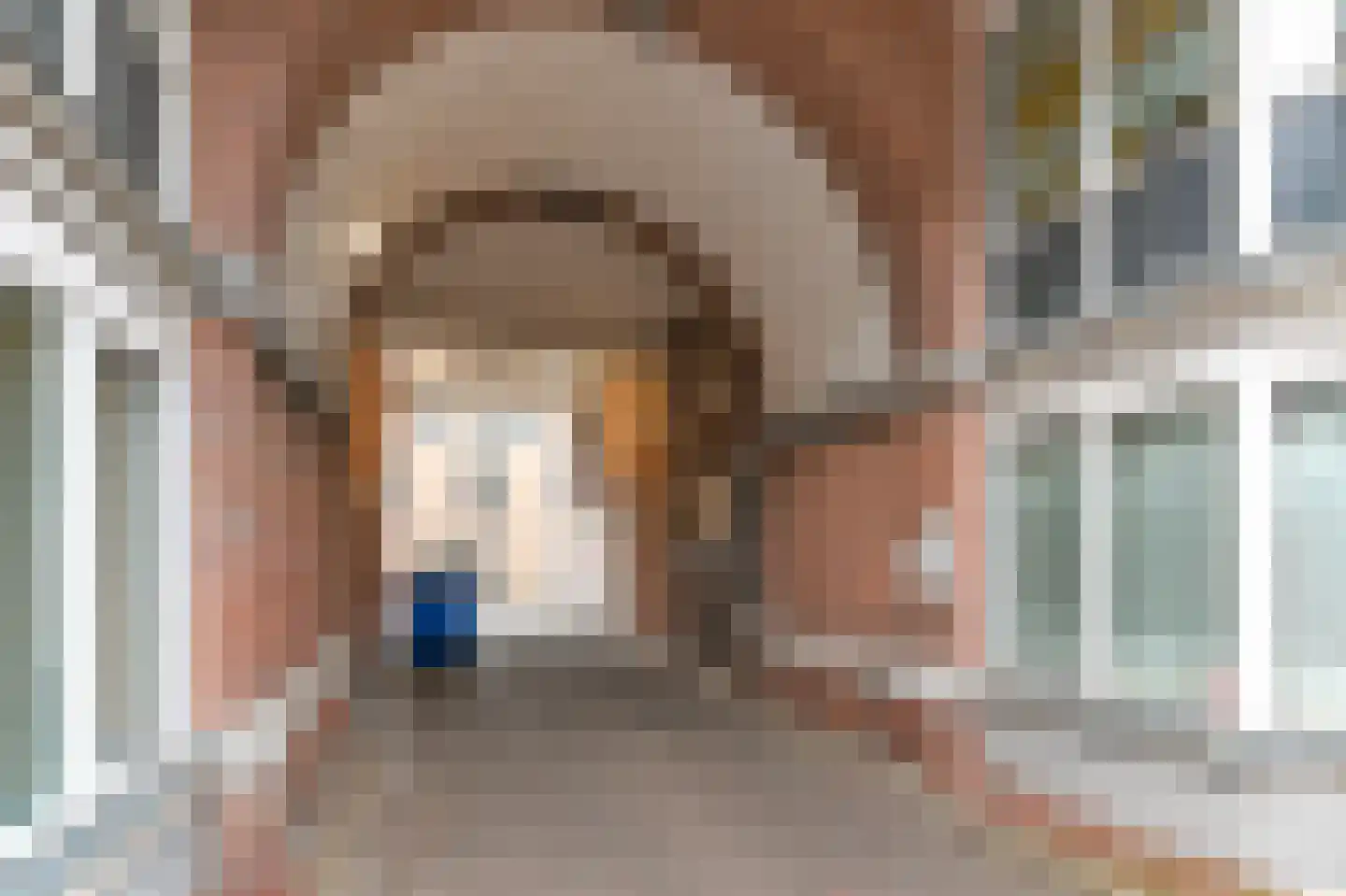 Laan van Roos en Doorn 19 C Den Haag thumbnail 11