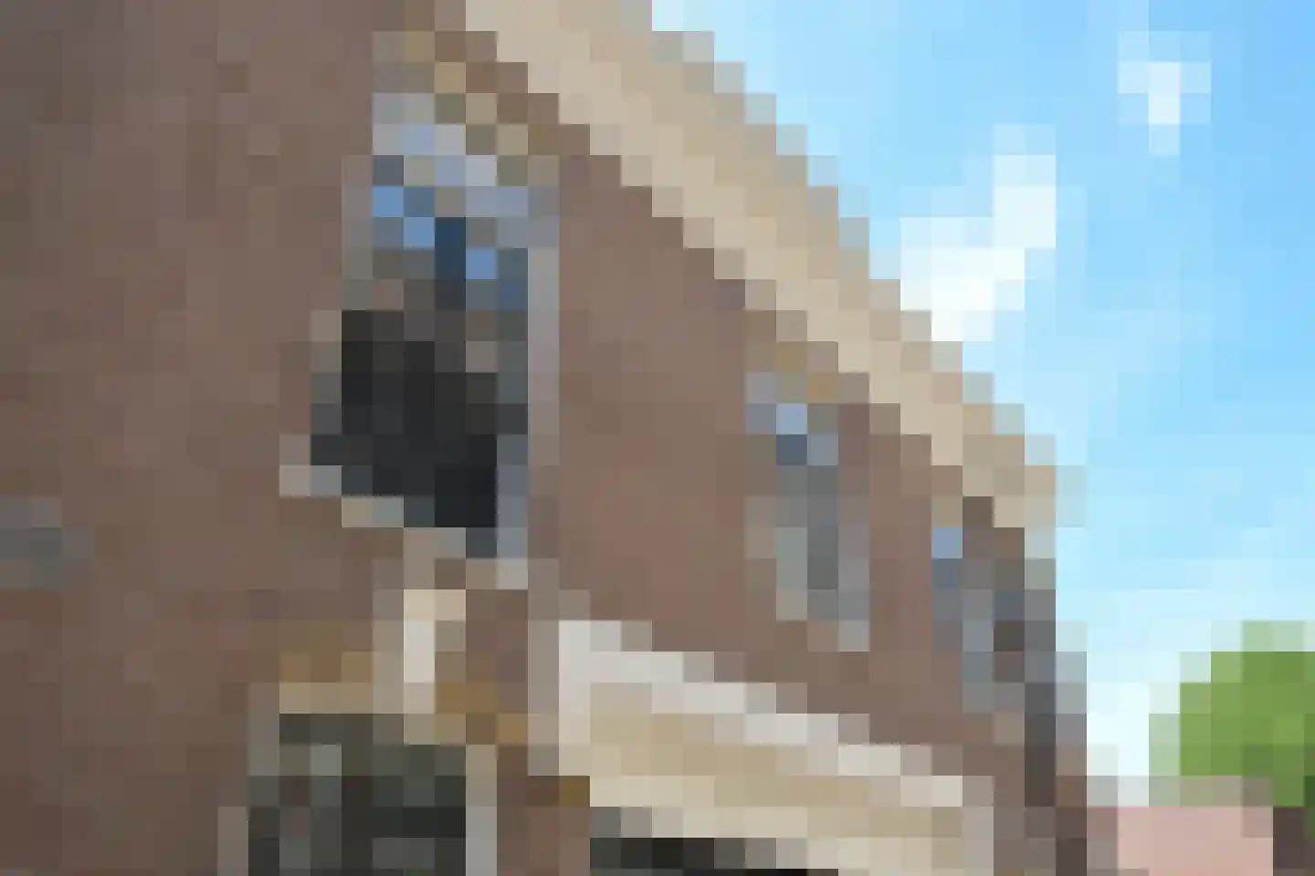 Laan van Roos en Doorn 22 Den Haag foto 2