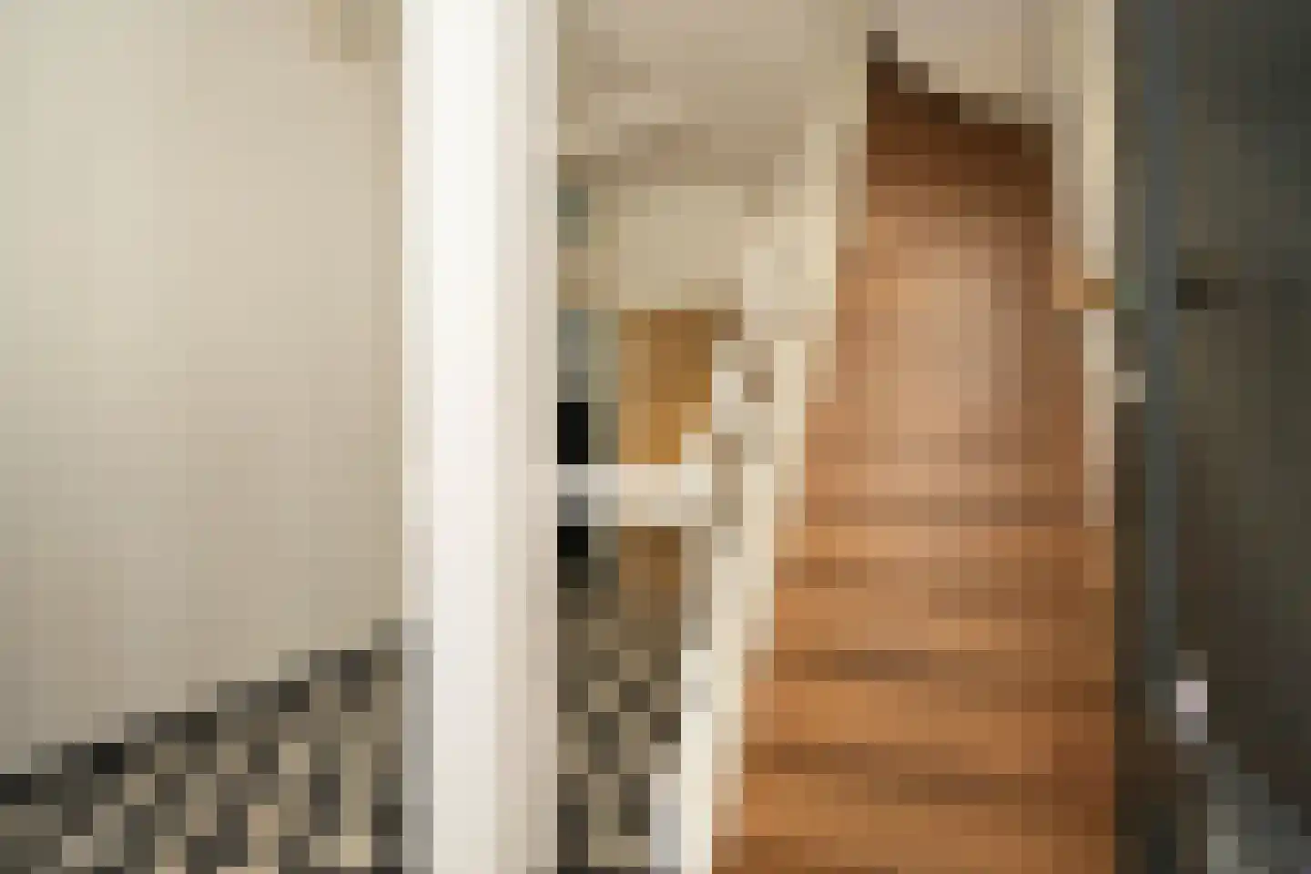Laan van Roos en Doorn 22 Den Haag thumbnail 4