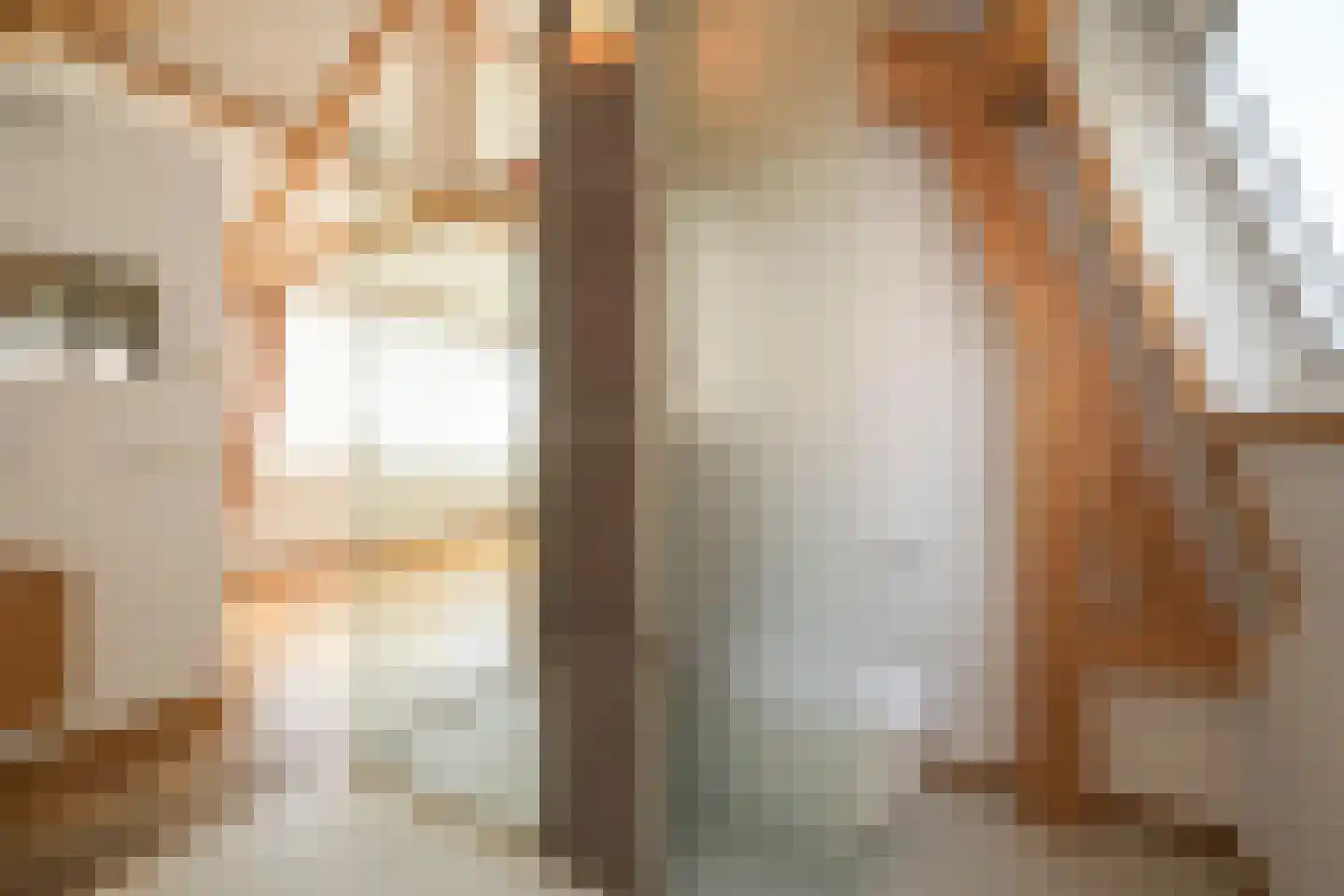 Laan van Roos en Doorn 22 Den Haag thumbnail 44
