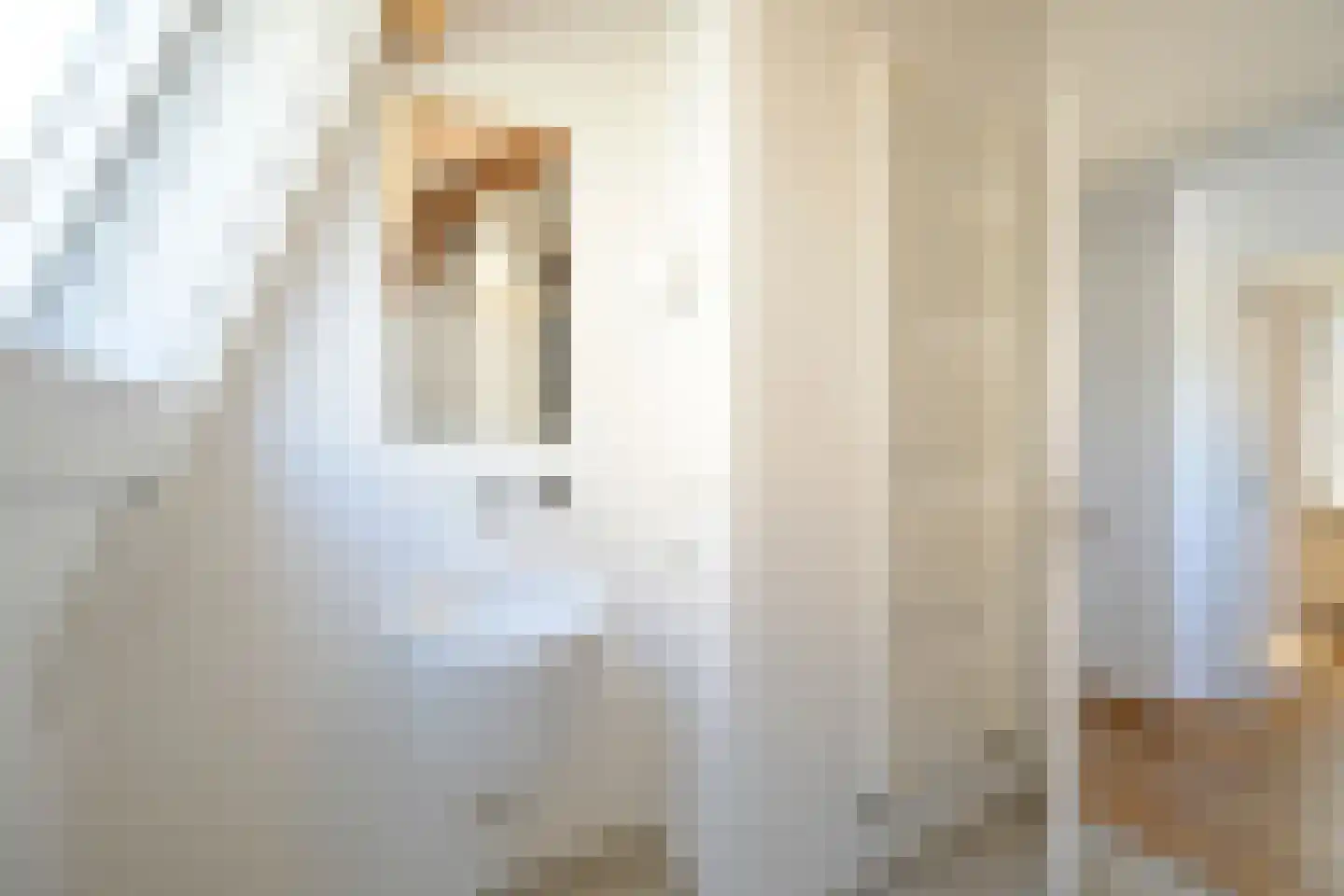 Laan van Roos en Doorn 22 Den Haag thumbnail 47