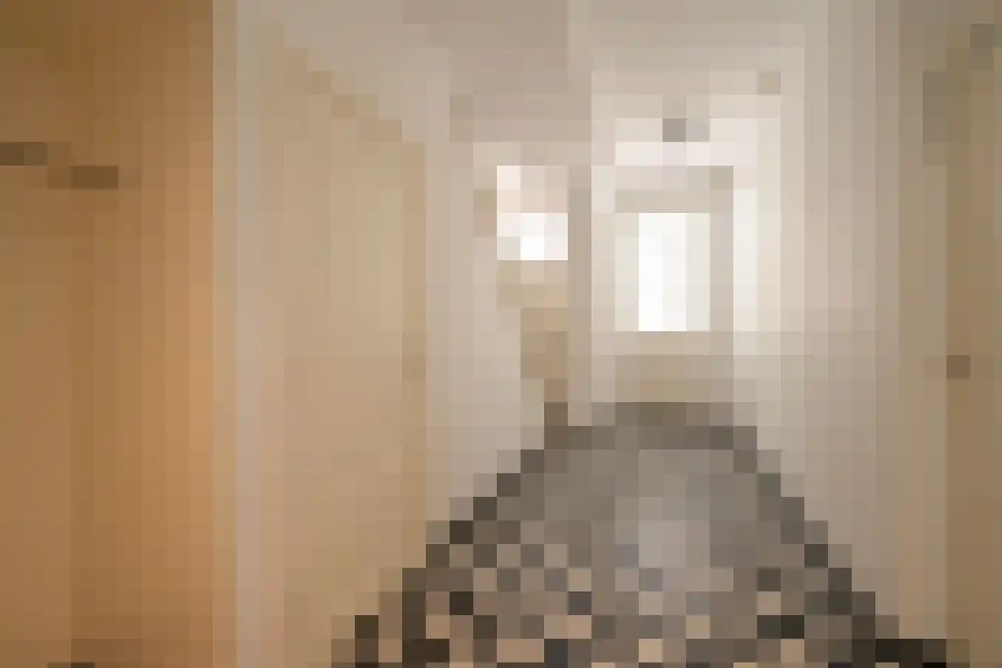 Laan van Roos en Doorn 22 Den Haag thumbnail 5