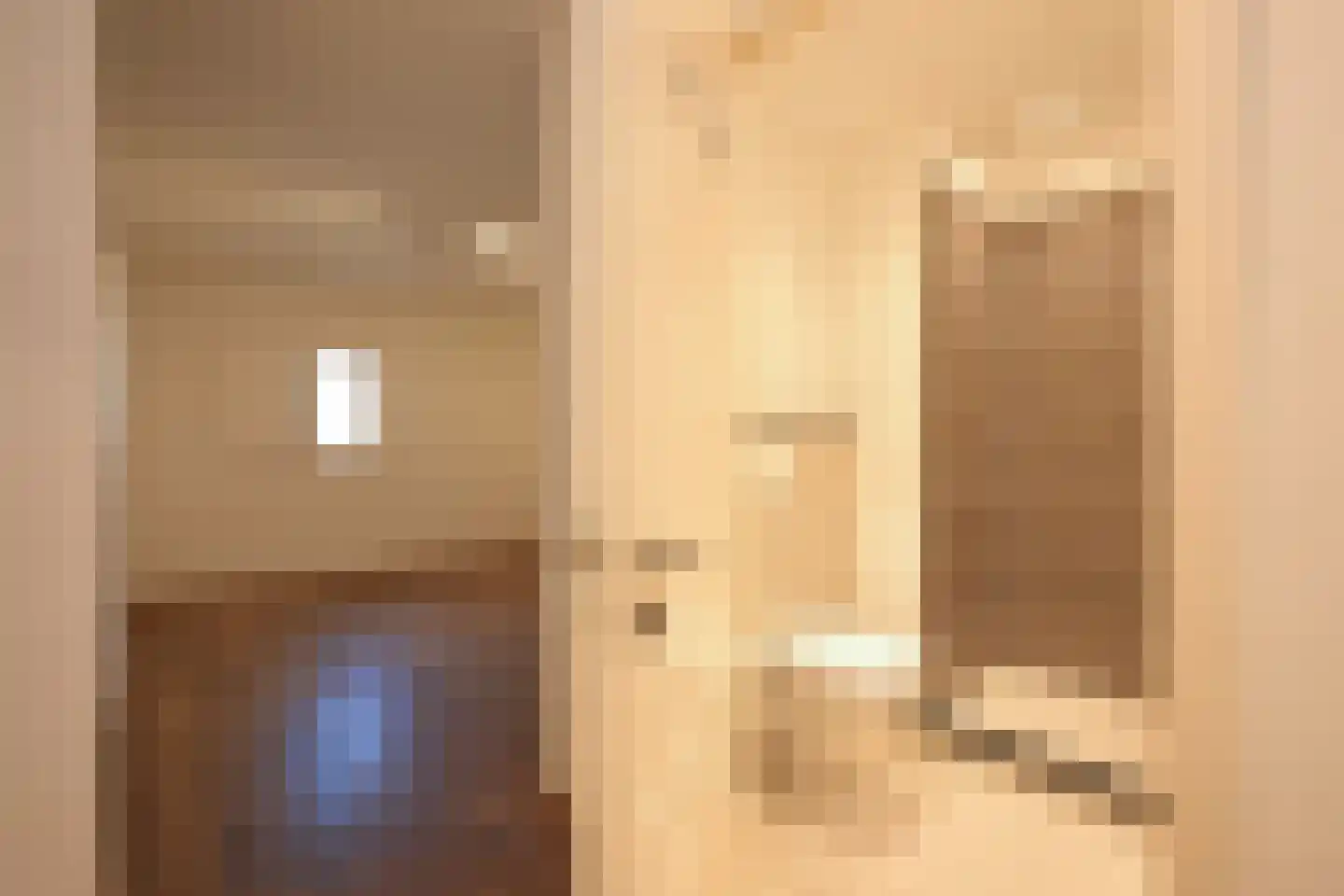 Laan van Roos en Doorn 22 Den Haag thumbnail 52