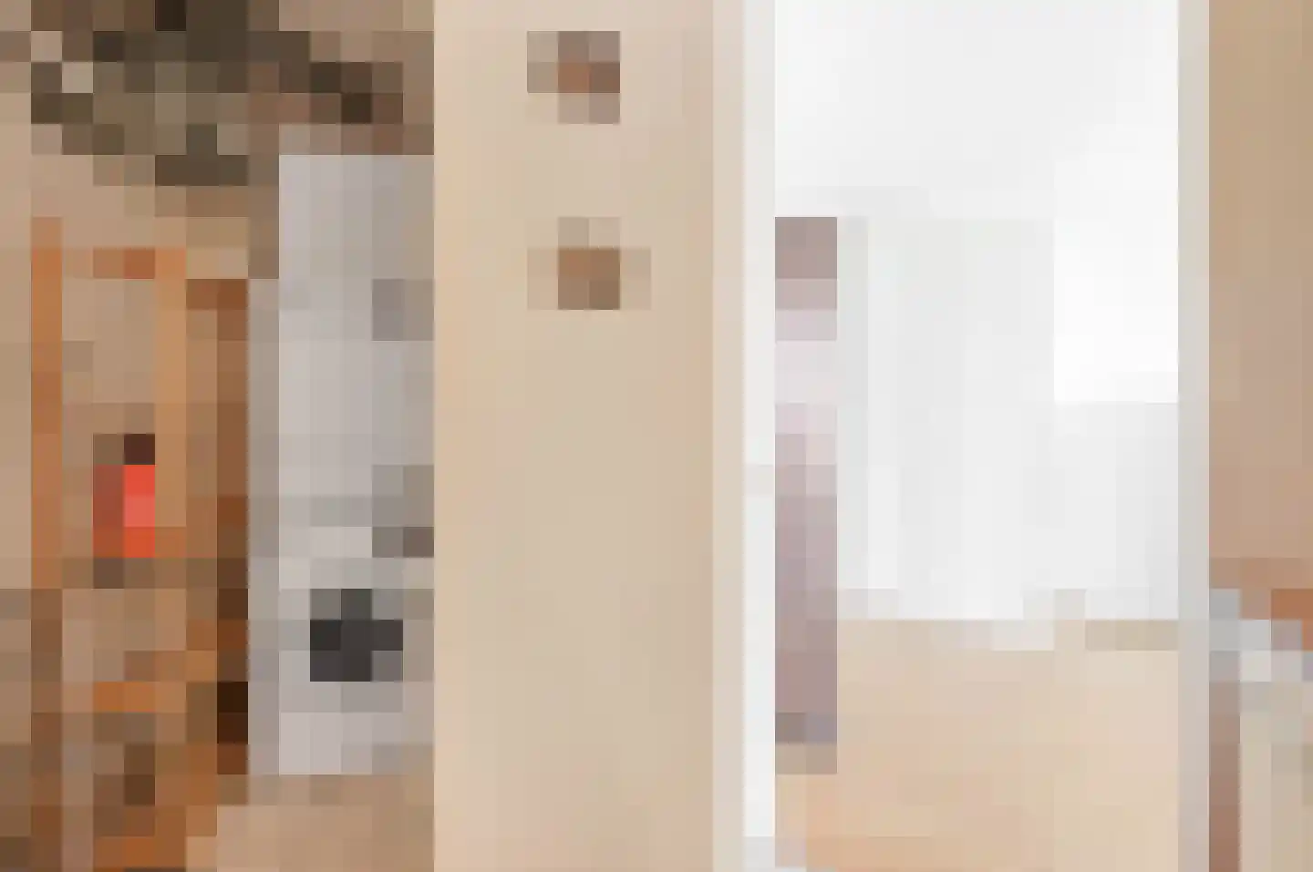 Laan van Roos en Doorn 23 A Den Haag thumbnail 11