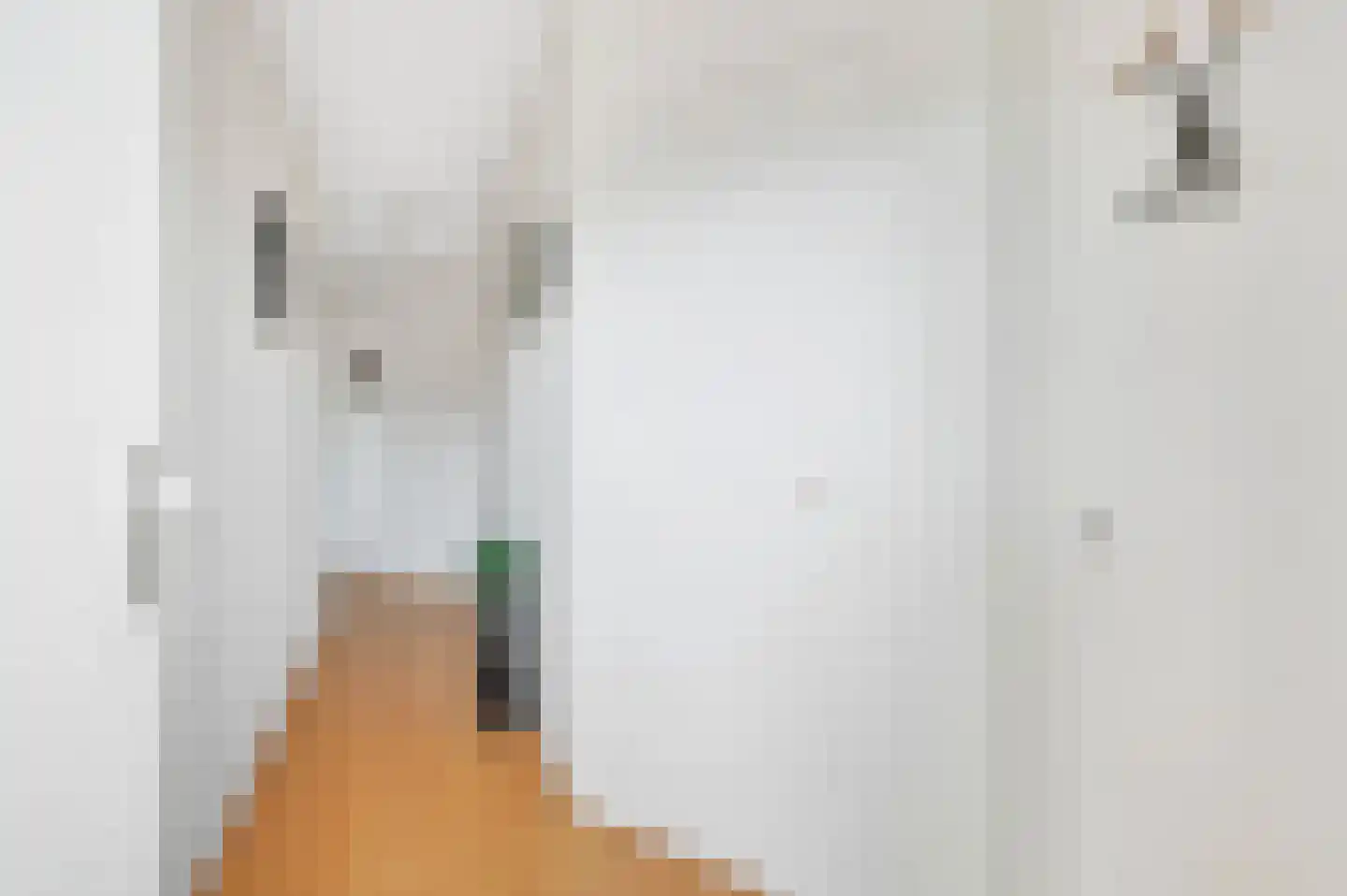 Laan van Roos en Doorn 23 A Den Haag thumbnail 19