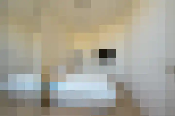Laan van Roos en Doorn 23 E Den Haag thumbnail 10