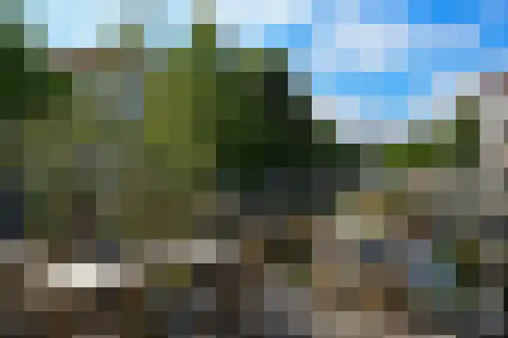 Laan van Roos en Doorn 23 E Den Haag thumbnail 20