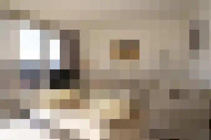 Laan van Roos en Doorn 23 E Den Haag thumbnail 4