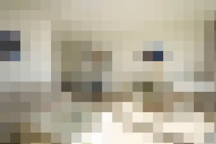 Laan van Roos en Doorn 23 E Den Haag thumbnail 5