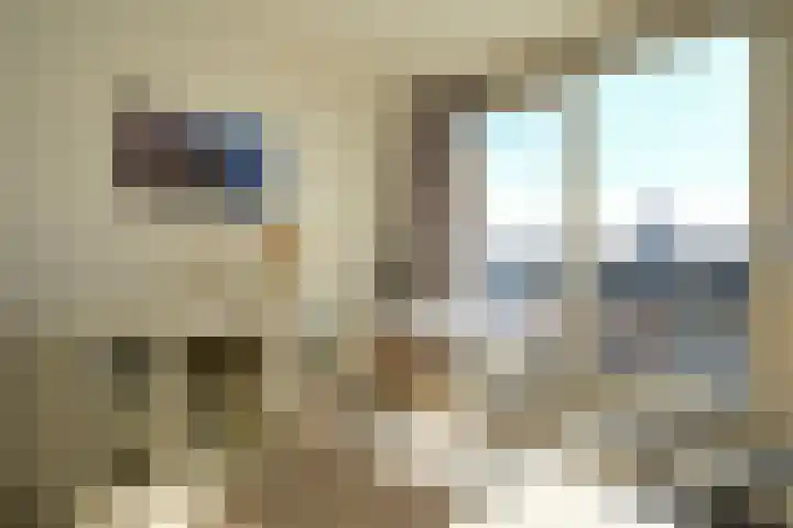 Laan van Roos en Doorn 23 E Den Haag thumbnail 6