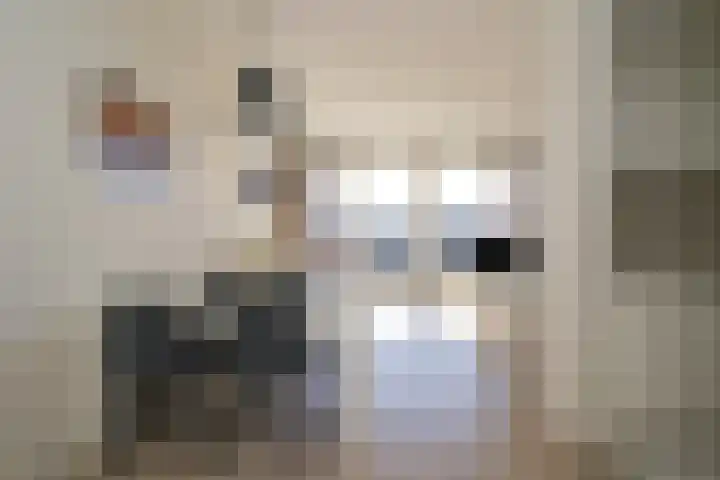 Laan van Roos en Doorn 23 E Den Haag thumbnail 7