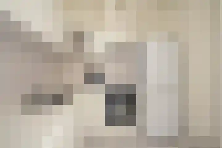 Laan van Roos en Doorn 23 E Den Haag thumbnail 9