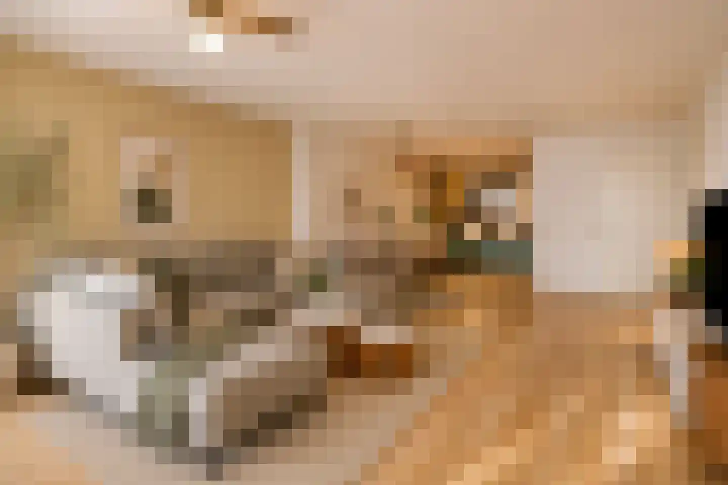 Laan van Roos en Doorn 35 E Den Haag thumbnail 5