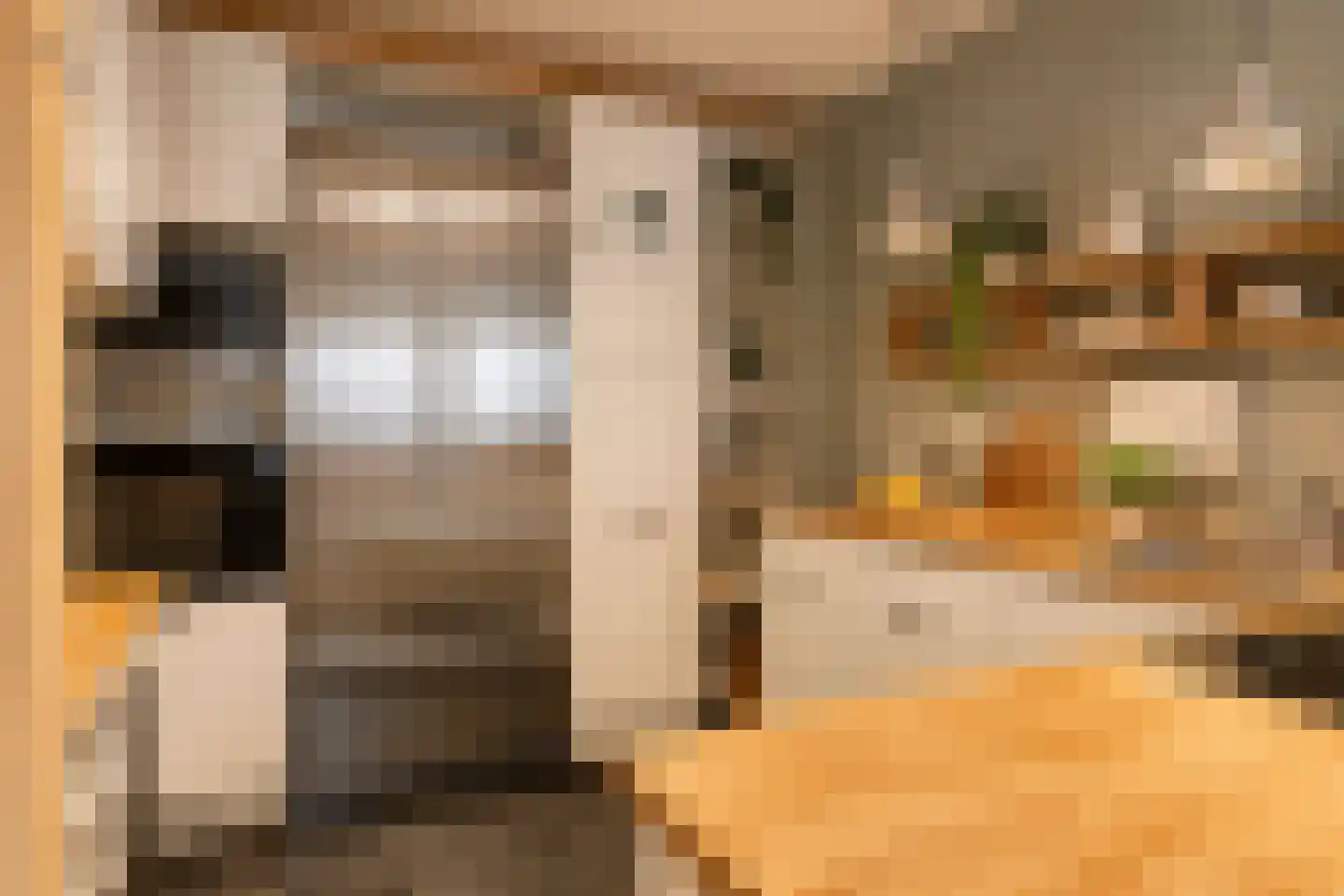 Laan van Roos en Doorn 35 E Den Haag thumbnail 7