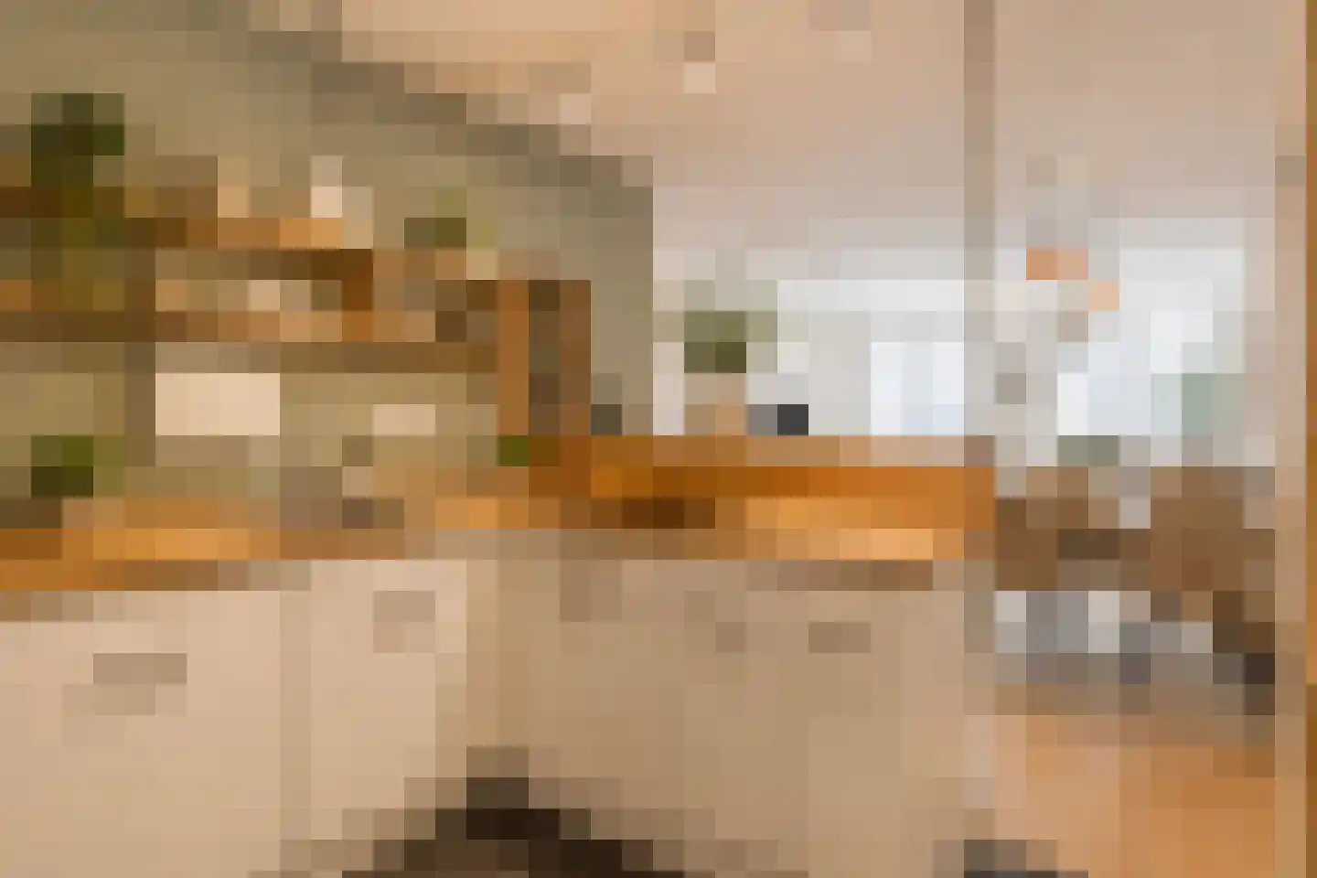 Laan van Roos en Doorn 35 E Den Haag thumbnail 9