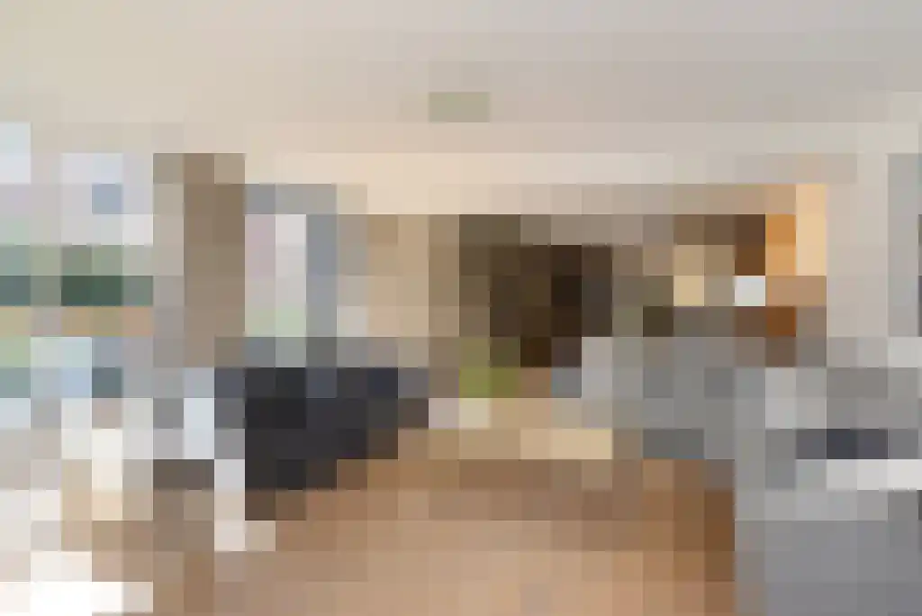 Laan van Roos en Doorn 35 N Den Haag thumbnail 11
