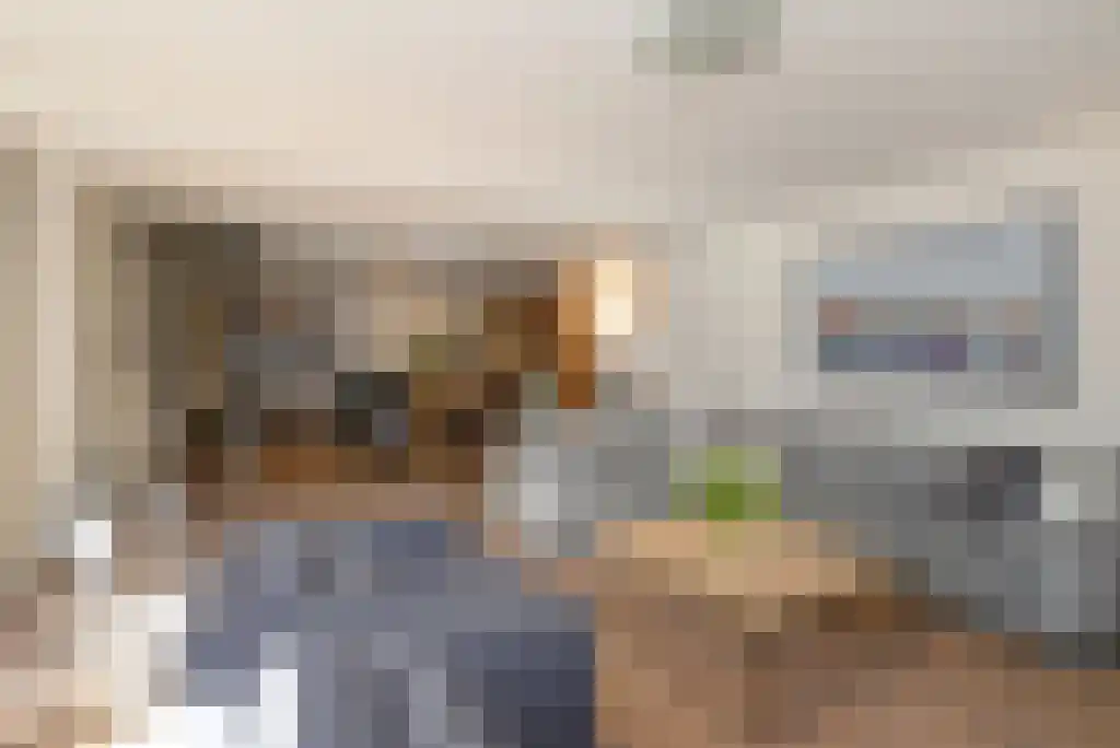 Laan van Roos en Doorn 35 N Den Haag thumbnail 12