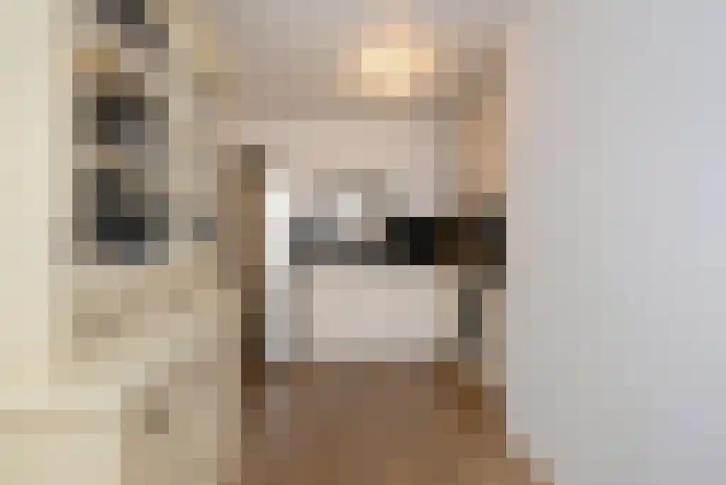 Laan van Roos en Doorn 35 N Den Haag thumbnail 16