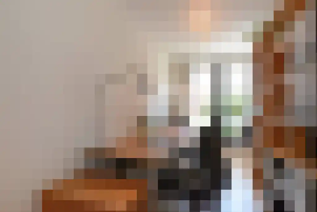 Laan van Roos en Doorn 35 N Den Haag thumbnail 19