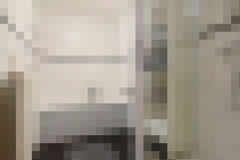 Laan van Roos en Doorn 35 N Den Haag thumbnail 21