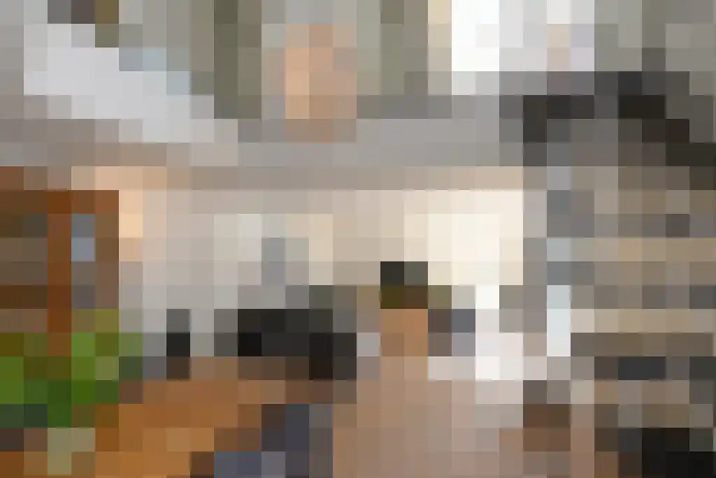Laan van Roos en Doorn 35 N Den Haag thumbnail 24