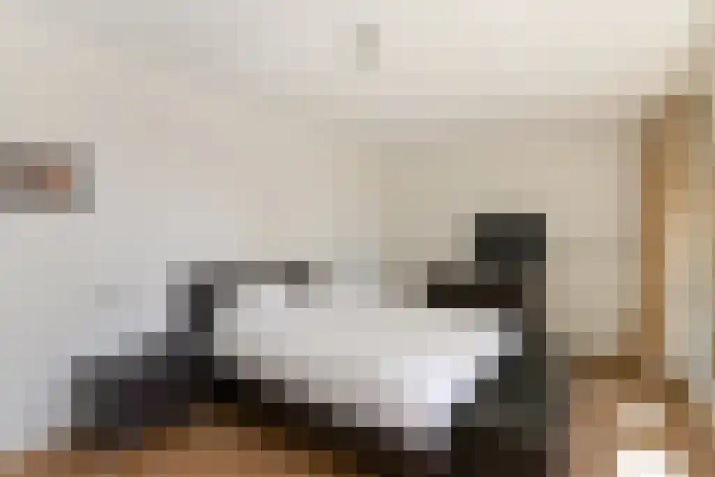 Laan van Roos en Doorn 35 N Den Haag thumbnail 25