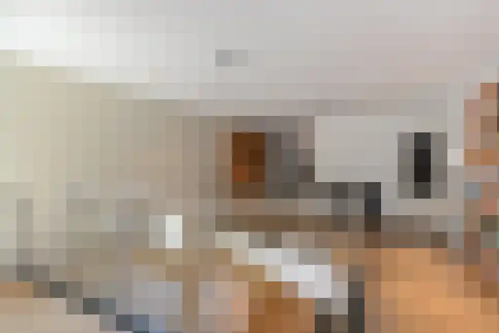 Laan van Roos en Doorn 35 N Den Haag thumbnail 30